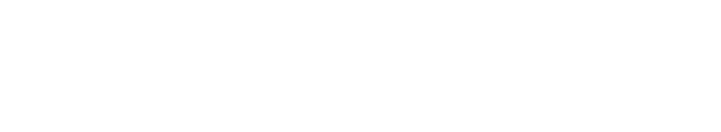 VOICEFLOW